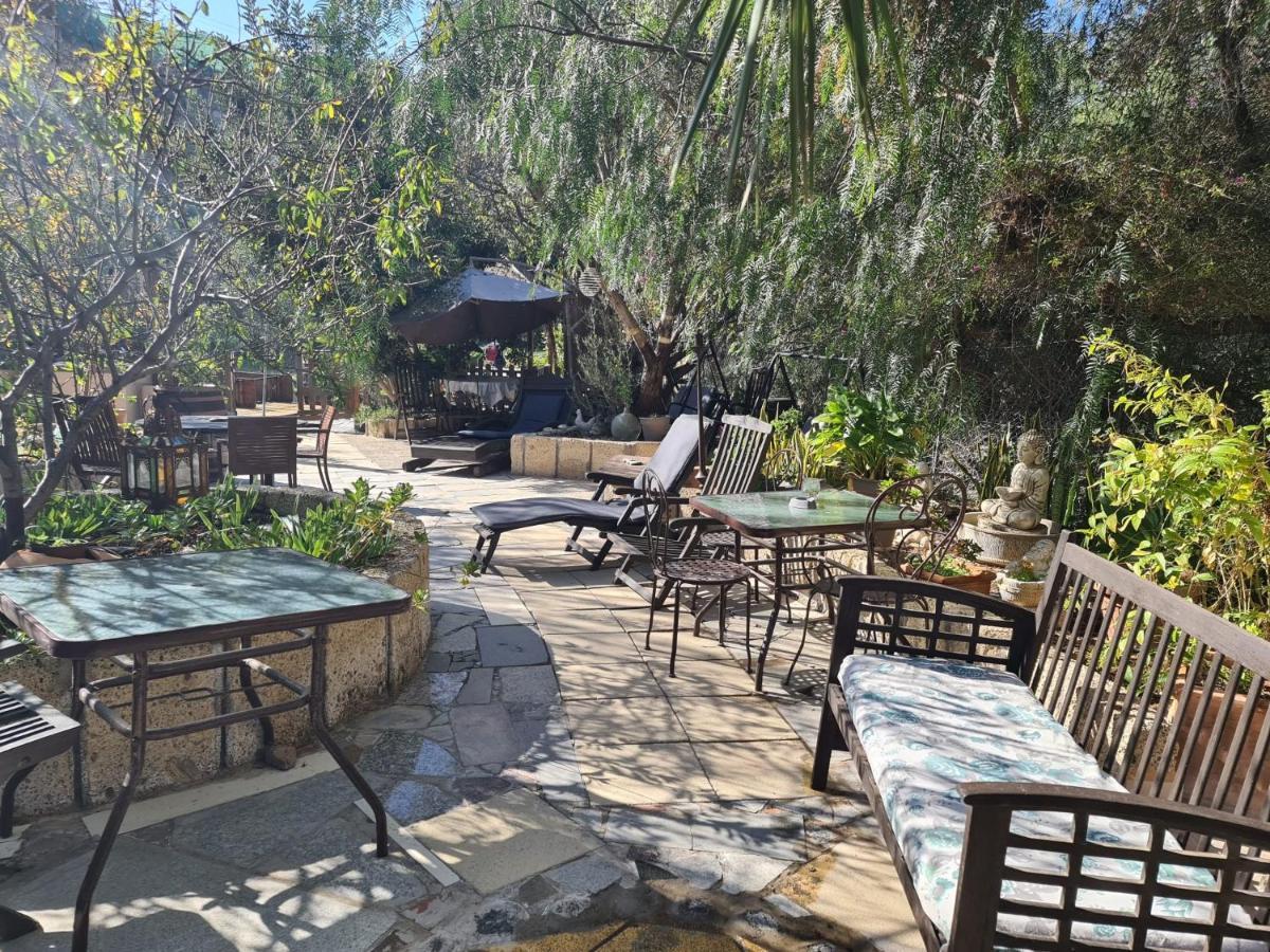 Arico Viejo Finca Tropical מראה חיצוני תמונה