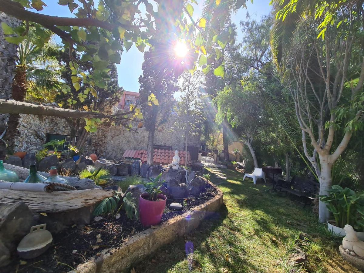 Arico Viejo Finca Tropical מראה חיצוני תמונה
