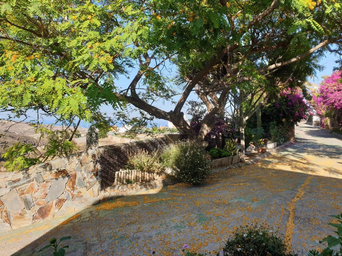 Arico Viejo Finca Tropical מראה חיצוני תמונה