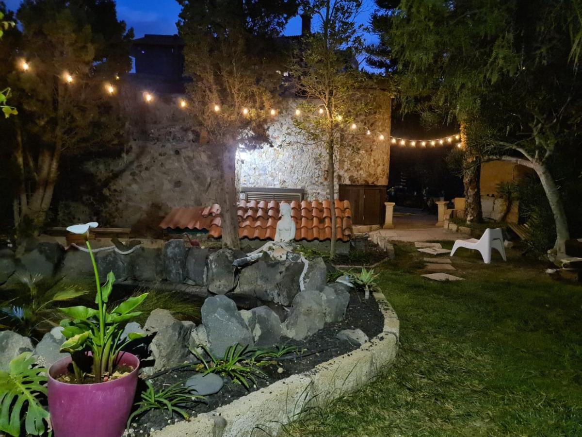 Arico Viejo Finca Tropical מראה חיצוני תמונה