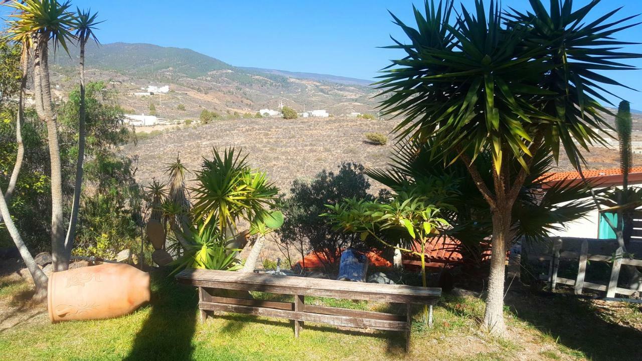 Arico Viejo Finca Tropical מראה חיצוני תמונה