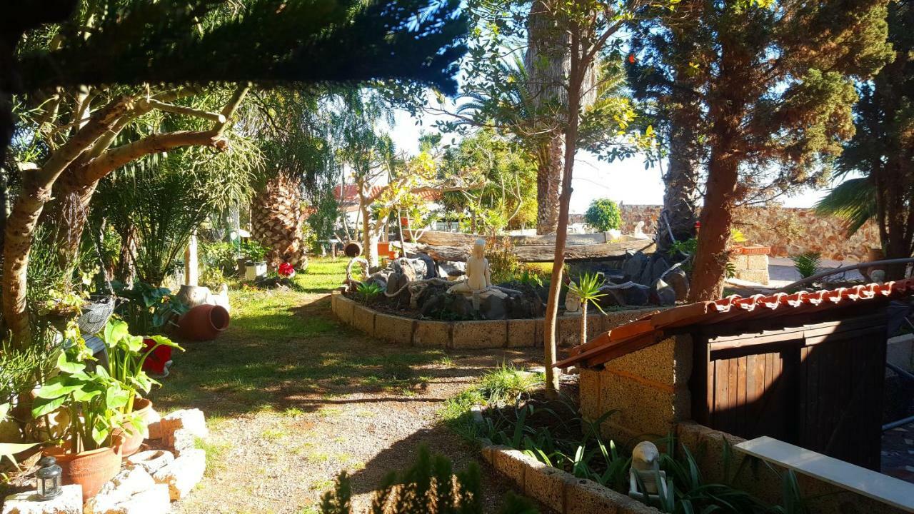 Arico Viejo Finca Tropical מראה חיצוני תמונה