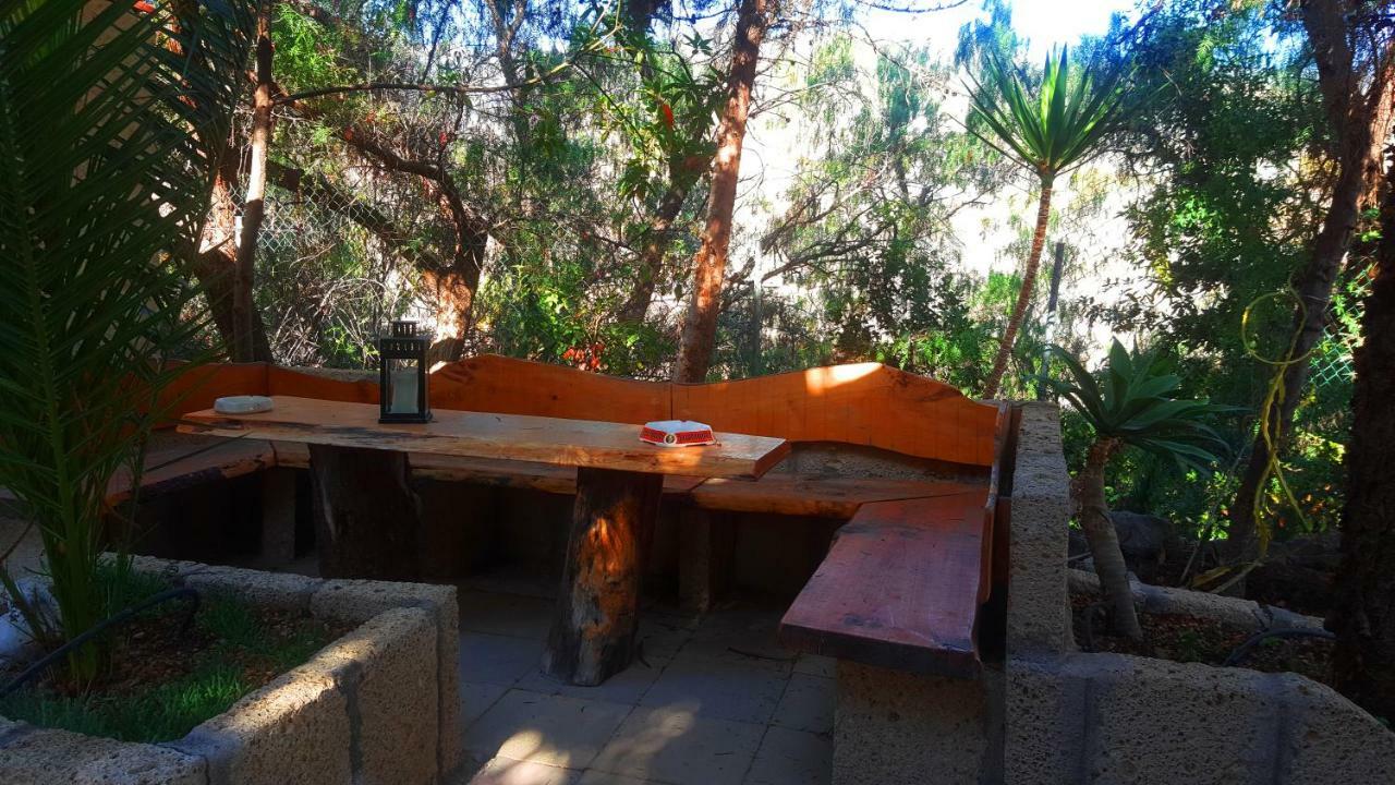 Arico Viejo Finca Tropical מראה חיצוני תמונה