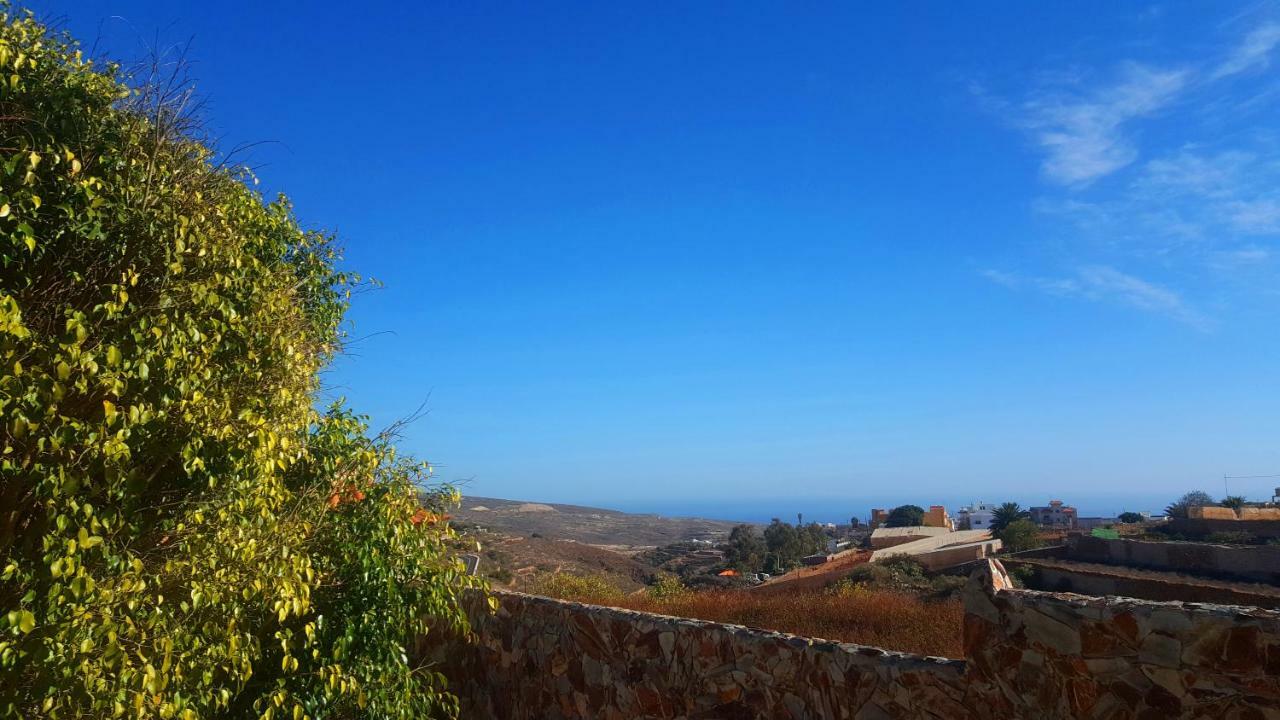 Arico Viejo Finca Tropical מראה חיצוני תמונה