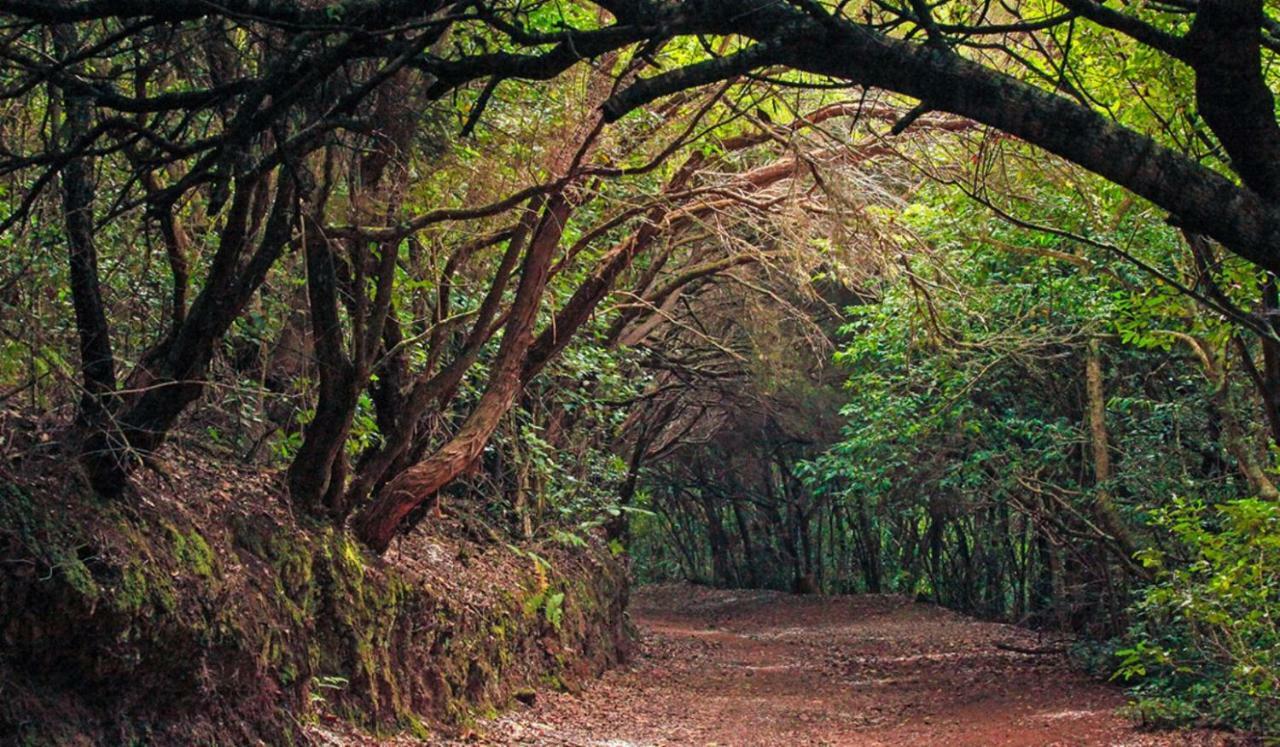Arico Viejo Finca Tropical מראה חיצוני תמונה